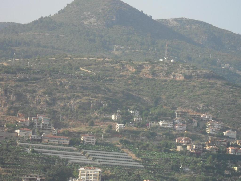 Hotel Yildirimoglu Alanya Room photo